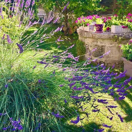 La Maison Du Bourg Proche St Emilion Bed and breakfast Puisseguin