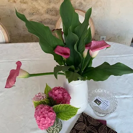 Bed & Breakfast La Maison Du Bourg Proche St Emilion Puisseguin